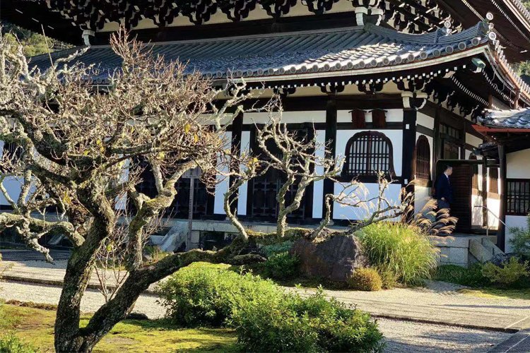 11-13xinwen2.jpg